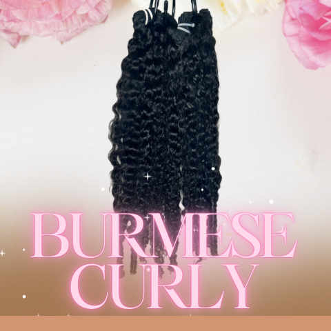 Burmese Curly Bundles